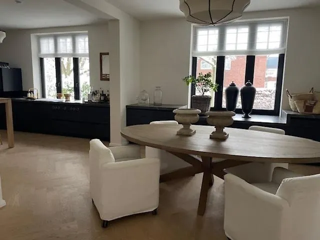 Designer house